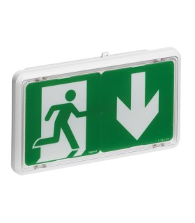 Lot de 3 BAES d'évacuation saillie à LEDs 45lm 1h