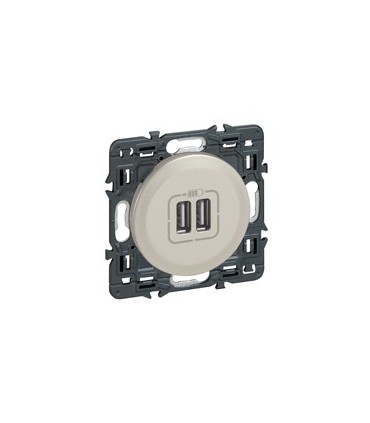 Double chargeur USB Type A enjoliveur Titane