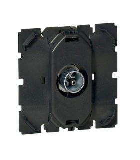 Prise tv simple Legrand celiane