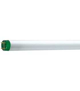 Tube Fluorescent MASTER TL-D Eco 51W/840