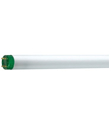 Tube Fluorescent MASTER TL-D Eco 51W/840