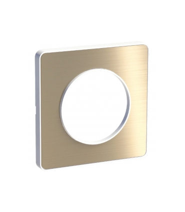 Plaque Odace Touch Bronze Brossé liseré blanc 1 Poste
