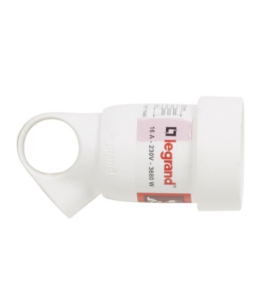 Prolongateur 2P+T 16A à anneau blanc