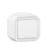 Interrupteur ou va-et-vient 10AX 250V Plexo complet saillie blanc / Legrand