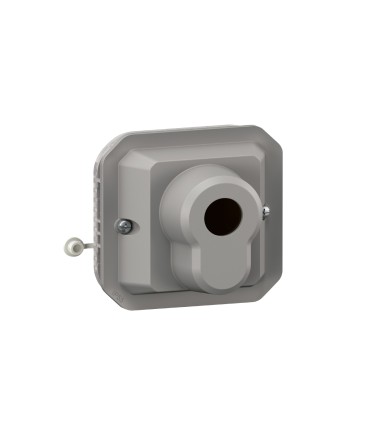 Interrupteur à clé accès sécurisé 2 positions Plexo composable gris / Legrand