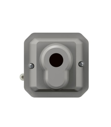 Interrupteur à clé accès sécurisé 2 positions Plexo composable gris / Legrand