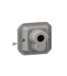 Poussoir à clé accès sécurisé 3 positions Plexo composable gris / Legrand