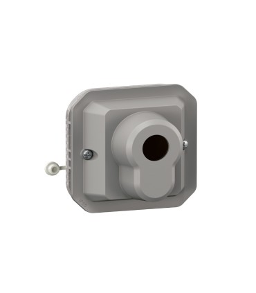 Poussoir à clé accès sécurisé 3 positions Plexo composable gris / Legrand
