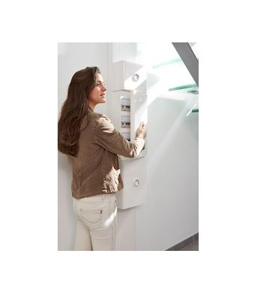 Goulotte GTL Drivia 13 Premium 65x250mm 2 couvercles