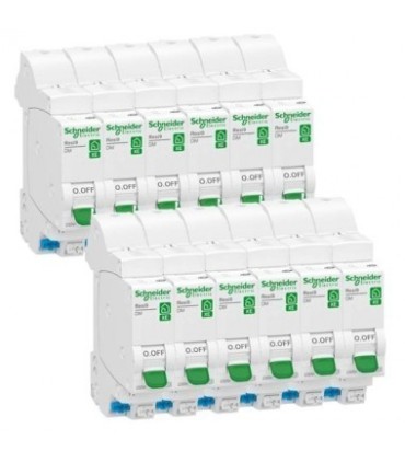 12 disjoncteurs 20A embrochables 1P+N - Courbe C - 3kA