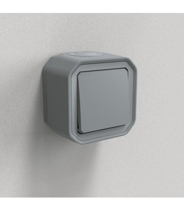 Interrupteur ou va-et-vient 10AX 250V Plexo complet saillie gris / Legrand