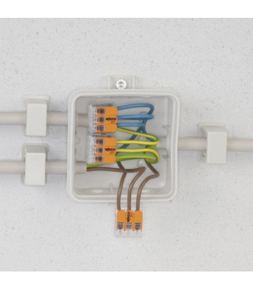 100 Bornes de raccordement compact 2 pôles - transparent orange / 221 Mini
