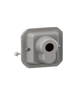 Interrupteur à clé Ronis 3 positions Plexo composable gris / Legrand