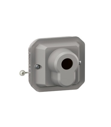 Interrupteur à clé Ronis 3 positions Plexo composable gris / Legrand