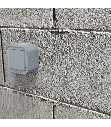 Interrupteur ou va-et-vient 10AX 250V Plexo complet saillie gris / Legrand