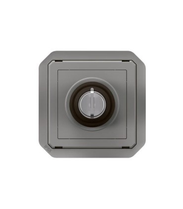 Interrupteur à clé Ronis 2 positions Plexo composable gris / Legrand