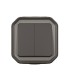 Commande double interrupteur ou poussoir Plexo complet saillie anthracite / Legrand