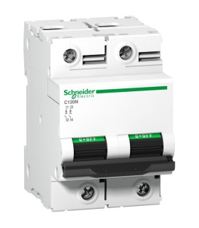 Disjoncteur C120N 2P 125 A, courbe D, 10 kA