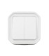 Commande double interrupteur ou poussoir Plexo complet saillie blanc