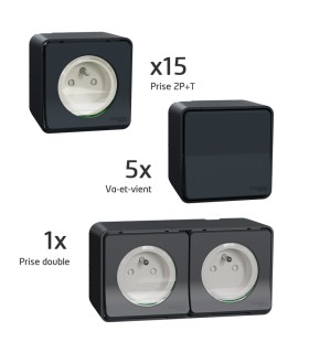 Probox Mureva 15 Prises 2P+T + 5 Va & Vient + 1 Prise double