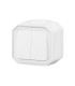 Commande double interrupteur ou poussoir Plexo complet saillie blanc