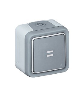 Poussoir témoin étanche 10A Plexo complet IP55 saillie - gris