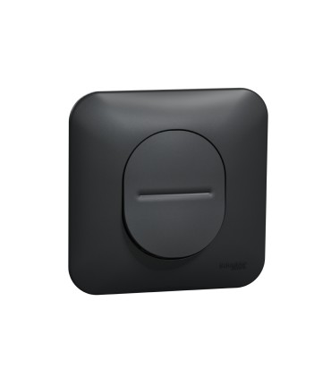 Ovalis Interrupteur simple 10AX avec plaque Anthracite