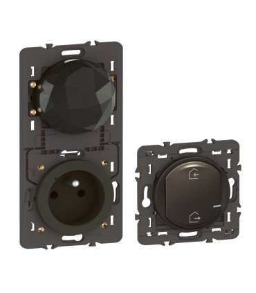 Pack de démarrage connecté Céliane with Netatmo sans plaque - graphite