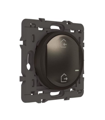 Pack de démarrage connecté Céliane with Netatmo sans plaque - graphite