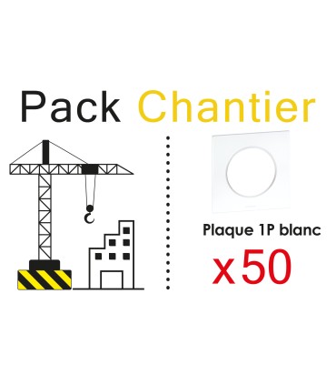 Lot de 50 plaques 1 poste blanc pour appareillage gamme Square