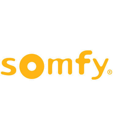 Telecommande Somfy Situo 1 canal rts pure II