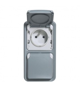 Double prise avec terre précablée Plexo apparent vertical Gris