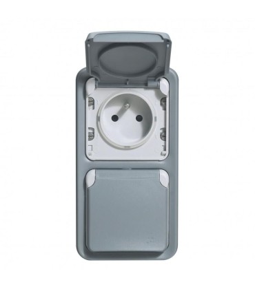 Double prise avec terre précablée Plexo apparent vertical Gris