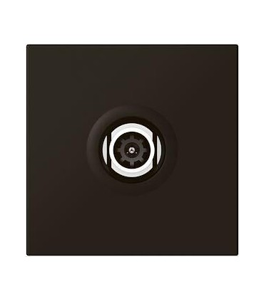 Mosaic Prise TV Ø 9,52mm mâle 2 modules noir mat