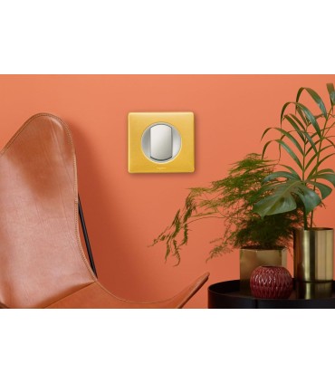 Plaque Céliane Métal 1 poste finition Laiton