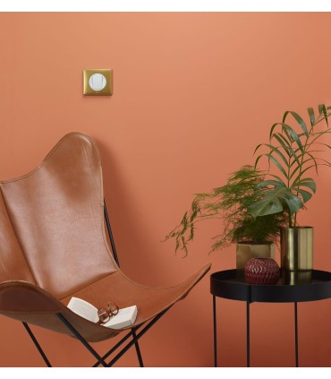 Plaque Céliane Métal 1 poste finition Laiton