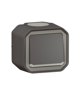 Plexo Interrupteur ou va-et-vient témoin complet saillie - anthracite