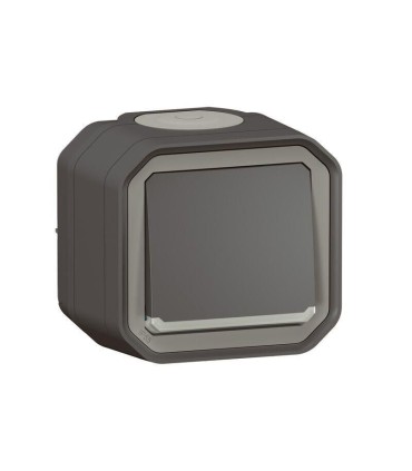 Plexo Interrupteur ou va-et-vient témoin complet saillie - anthracite