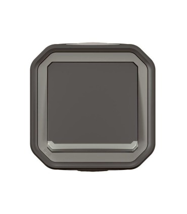 Plexo Interrupteur ou va-et-vient témoin complet saillie - anthracite