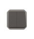 Plexo Double interupteur / va-et--vient ou poussoir  composable - anthracite