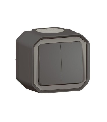Plexo Double interrupteur / va-et -vient ou poussoir  complet saillie - anthracite