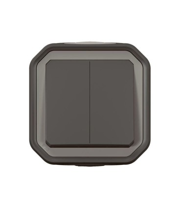 Plexo Double interrupteur / va-et -vient ou poussoir  complet saillie - anthracite
