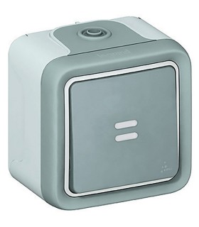 Plexo Interrupteur ou va-et-vient témoin complet IP55 saillie 10AX 250V gris