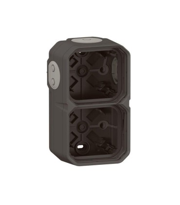 Plexo Boîtier apparent 2 postes horizontal ou vertical - anthracite