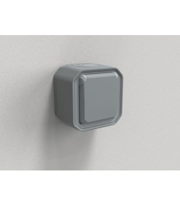 Interrupteur ou va-et-vient Plexo complet saillie gris