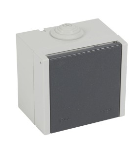 Prise saillie 2P+T 20A Plexo gris