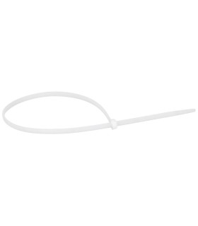 100 Colliers Colring incolore à denture intérieure largeur 7,6mm et longueur à plat 550mm