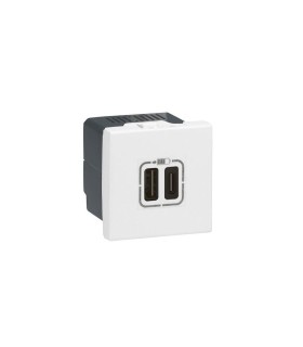 Prise MOSAIC chargeur 2 USB TYPE C Blanc