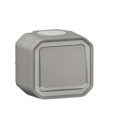 Interrupteur ou va-et-vient témoin 10AX 250V Plexo complet saillie gris / Legrand