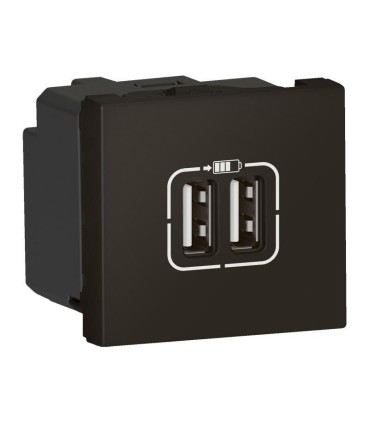 Chargeur 2 USB Type-A 2,4A 5V 12W Mosaic 2 modules 230V noir mat